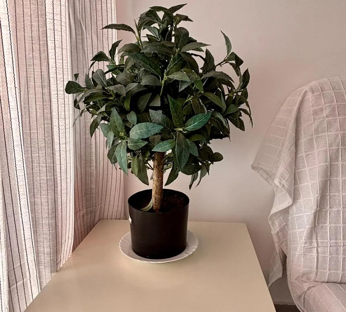 アパート Apartamento La Colina アロナ